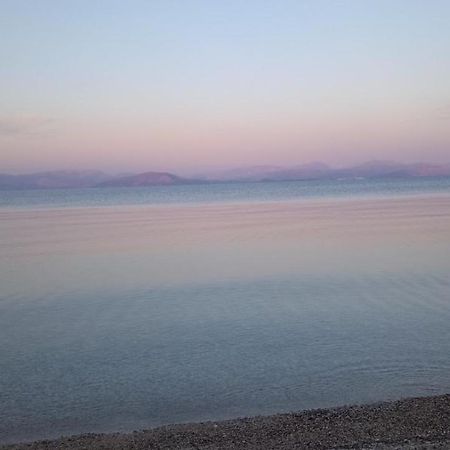 Lithino Apartments - 5Min From The Beach Agios Ioannis Peristerion Exteriör bild