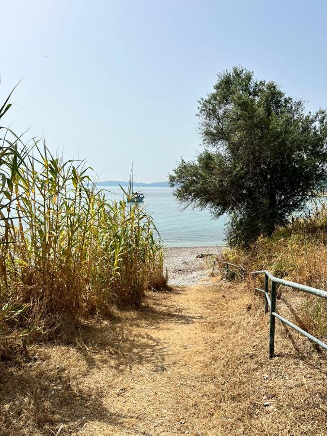 Lithino Apartments - 5Min From The Beach Agios Ioannis Peristerion Exteriör bild