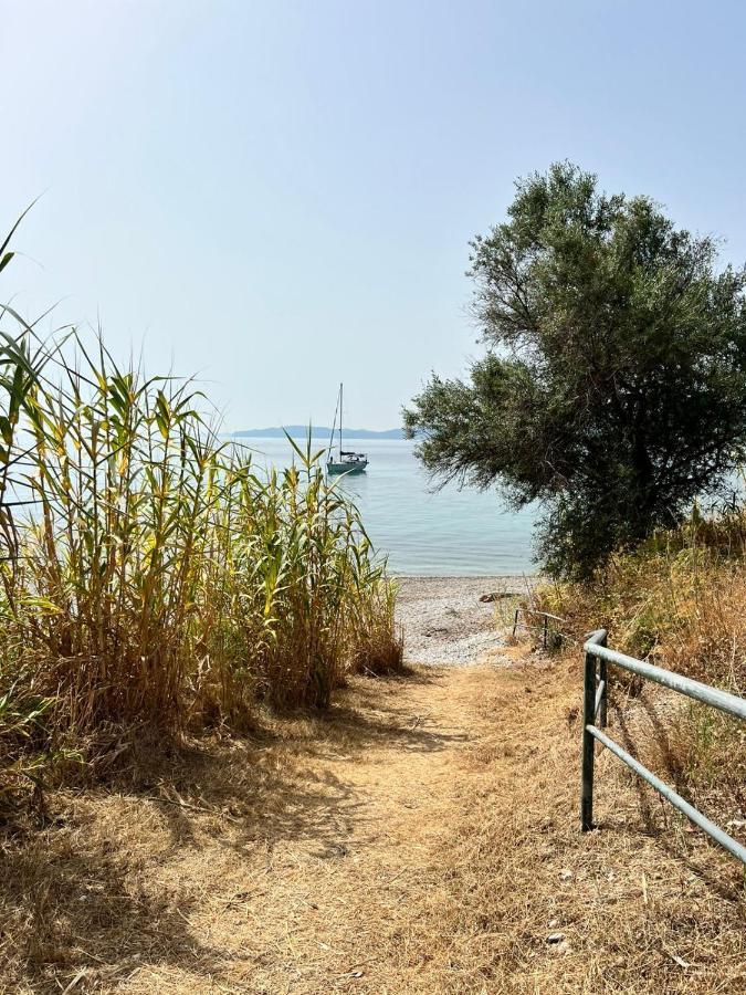 Lithino Apartments - 5Min From The Beach Agios Ioannis Peristerion Exteriör bild