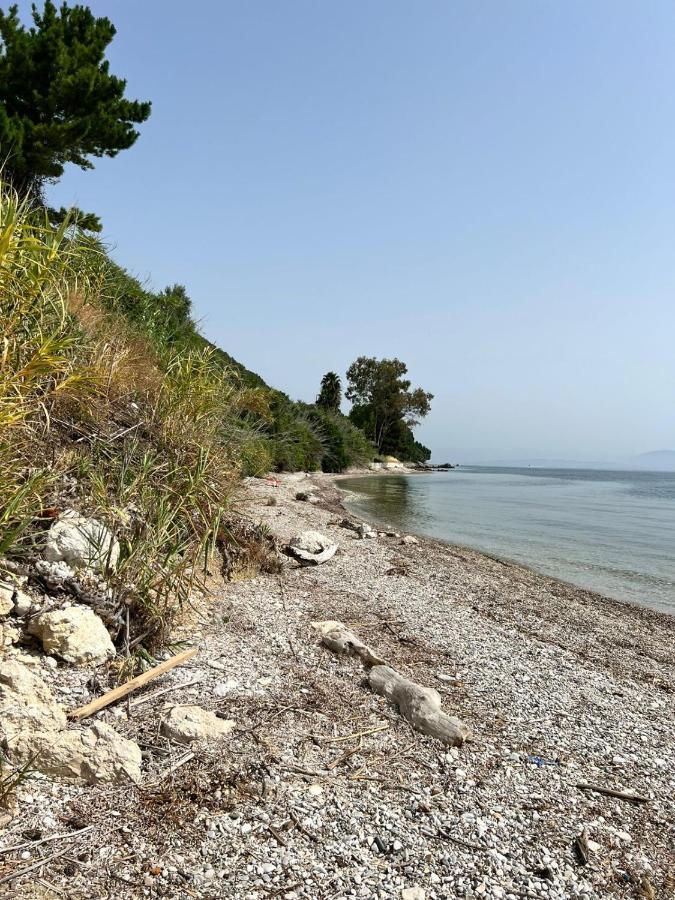 Lithino Apartments - 5Min From The Beach Agios Ioannis Peristerion Exteriör bild
