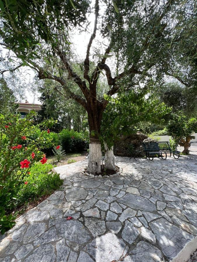 Lithino Apartments - 5Min From The Beach Agios Ioannis Peristerion Exteriör bild