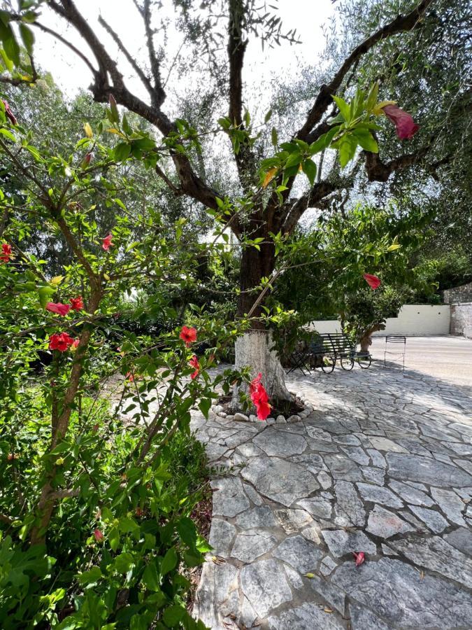Lithino Apartments - 5Min From The Beach Agios Ioannis Peristerion Exteriör bild